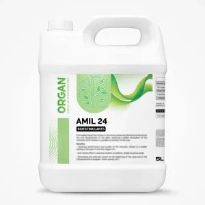 ORGAN® AMIL 24