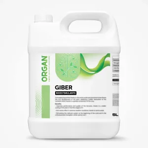 ORGAN® GIBER