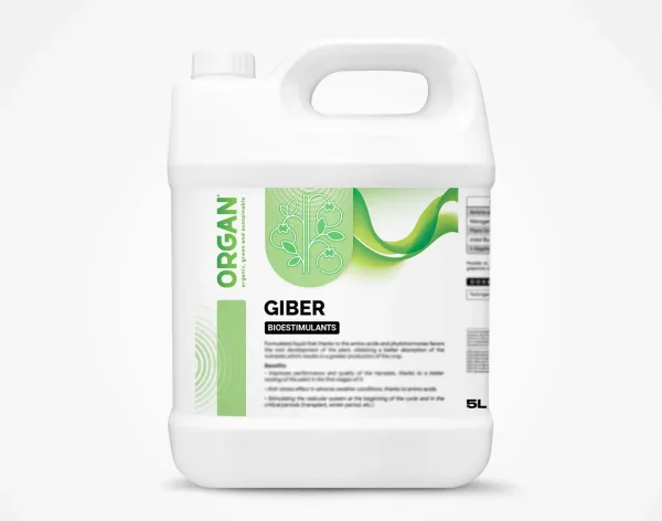 ORGAN® GIBER